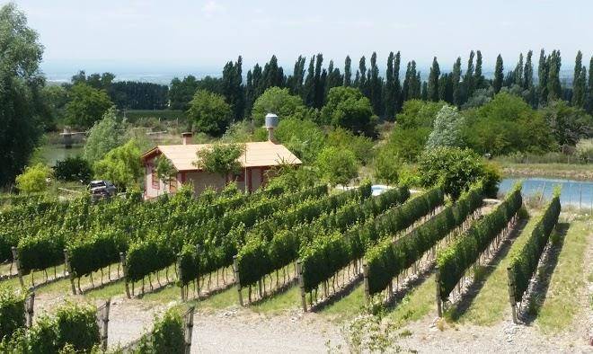 Cabana del alto tupungato