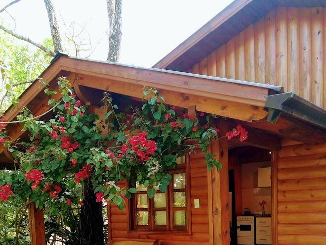 Cabanas de la selva
