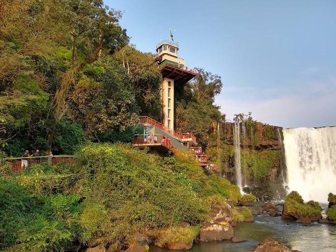 Voces de la selva misionera