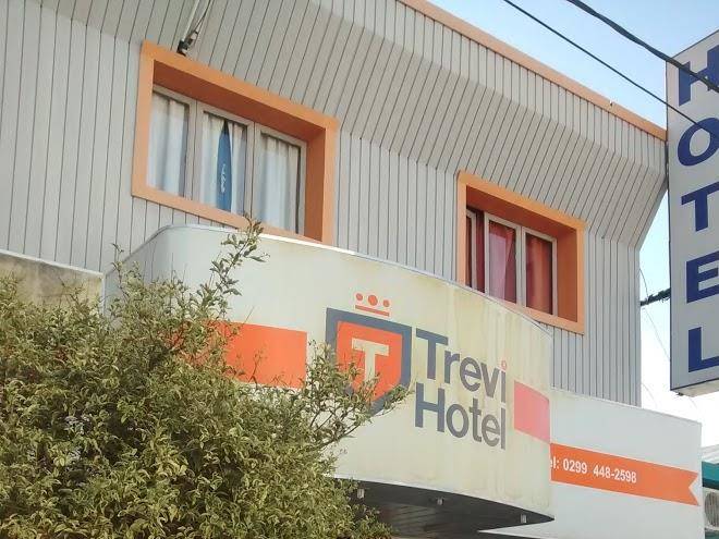 Hotel trevi