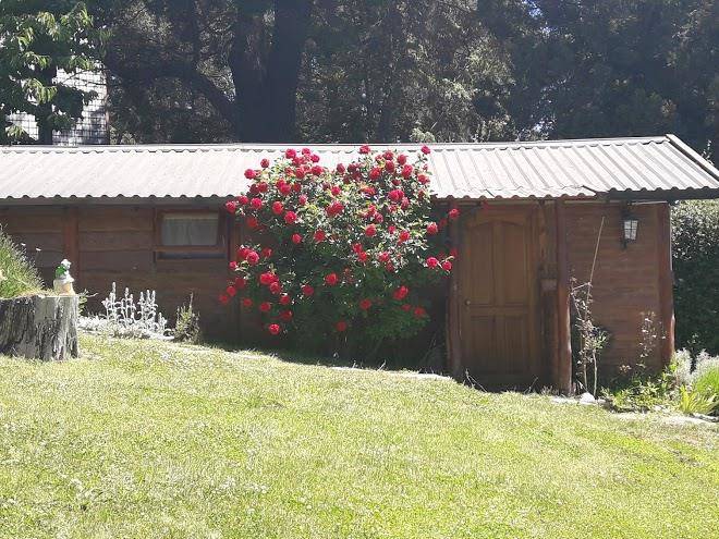Cabana bariloche