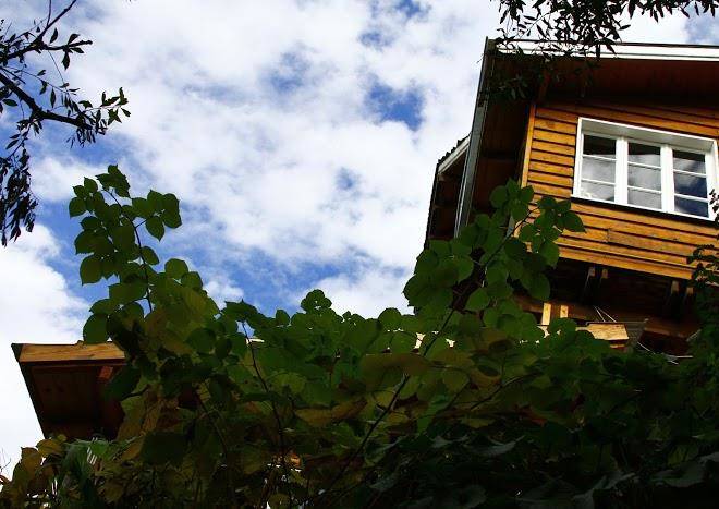 Pajaro azul bed and breakfast
