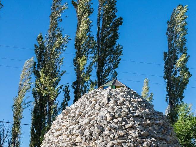 La comarca del jarillal