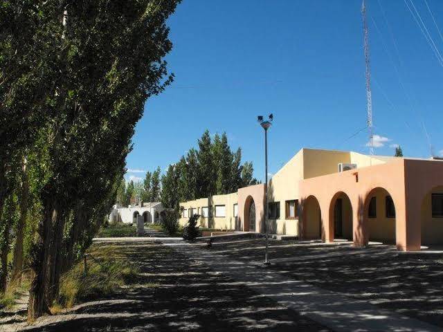 La vicunita