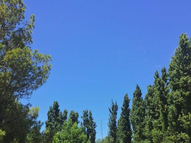 Finca don elias