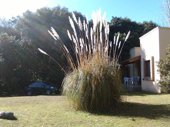 El rincon del molle