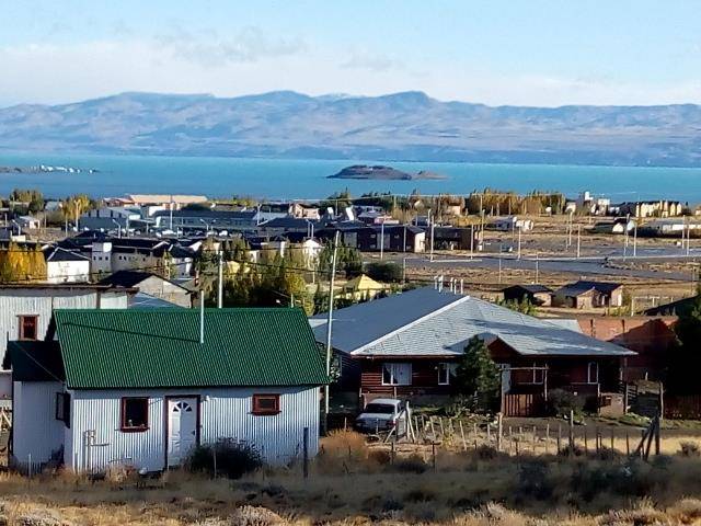 La mata de calafate