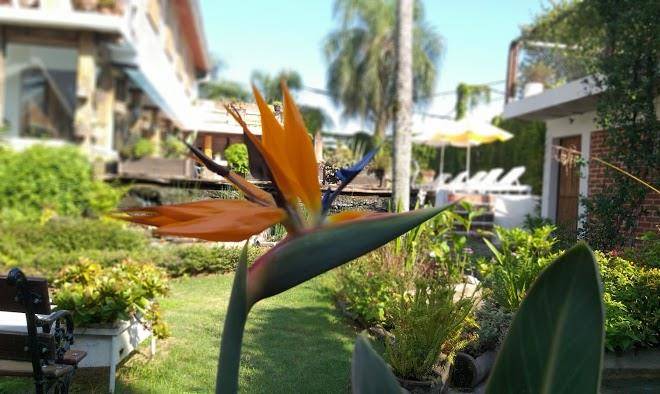 Hotel los brunos posada