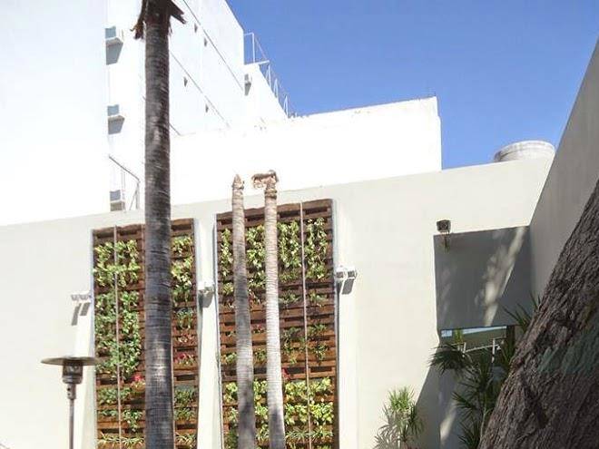 Hotel platino termas