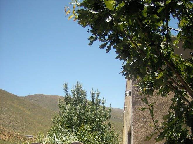 Cabanas sacha huasi