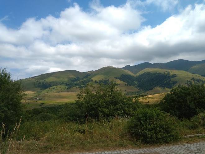 Tezhler u tani