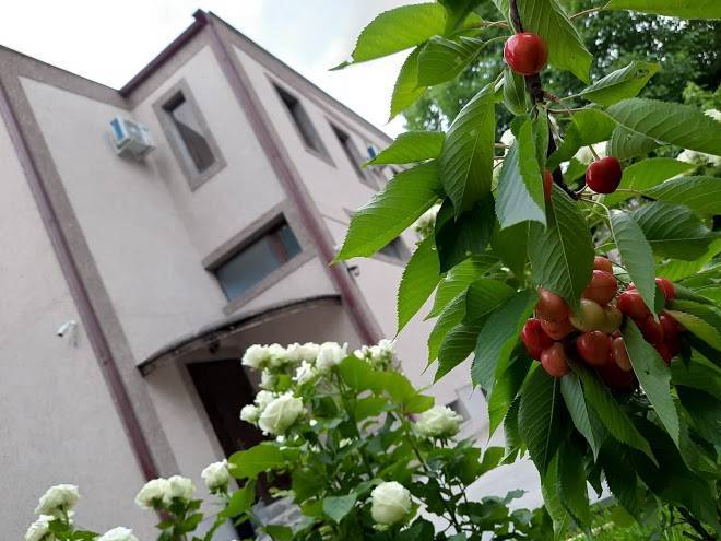 Cherry garden boutique hotel