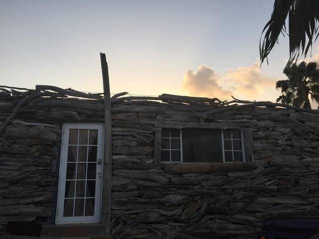 Driftwood gardens