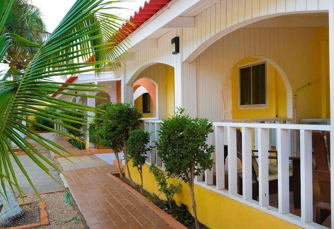 The coconut inn