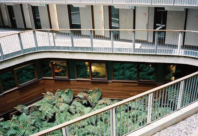 Ovolo nishi