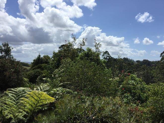 Tallaringa views