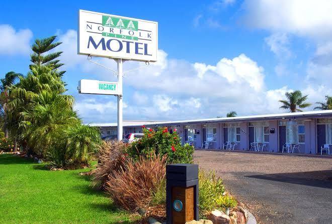 Norfolk pine motel
