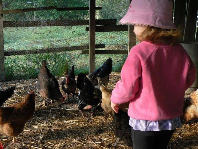 Bellingen farmstay