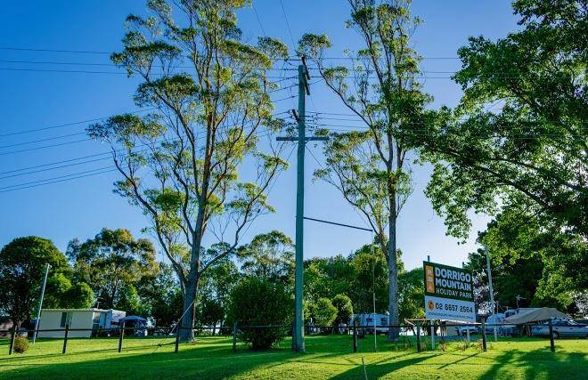 Dorrigo mountain holiday park