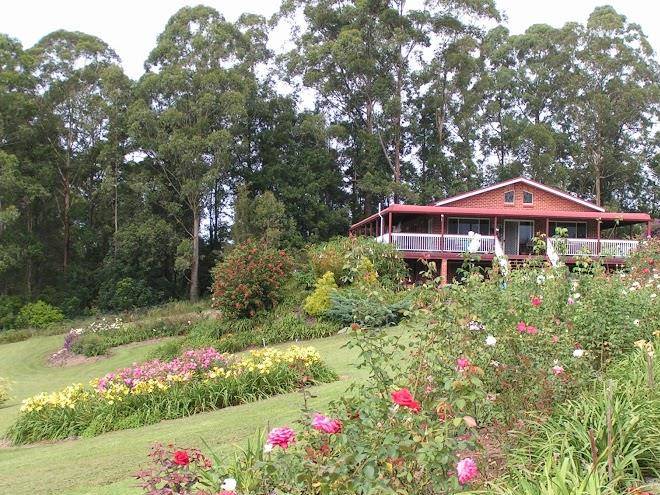 The rose patch