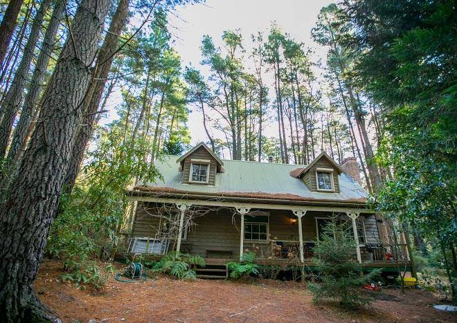 Holly lodge