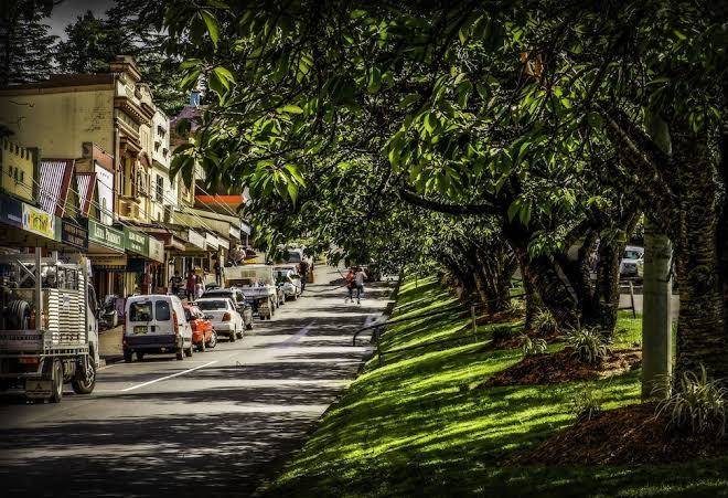 Mountain Whispers Leura Rose Image