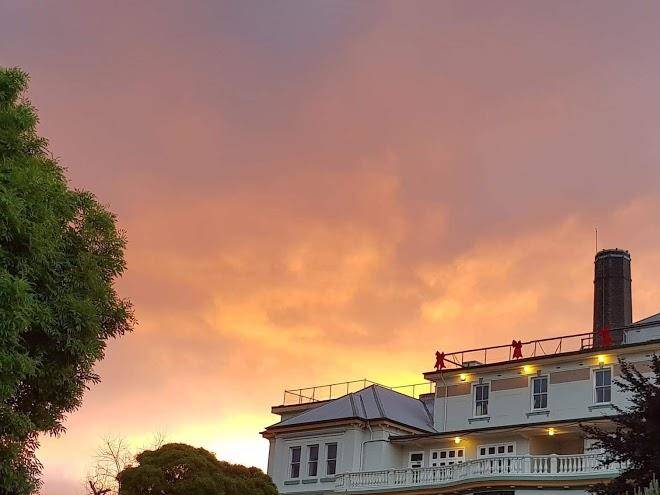 The carrington hotel