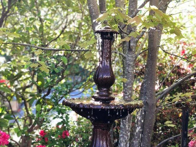 The Greens Leura Image