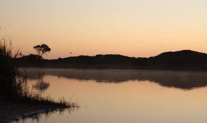 Nest byron bay