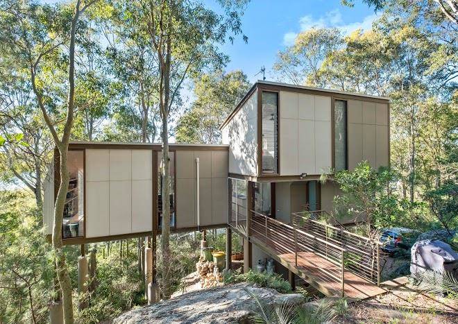 Treetops at wagstaffe