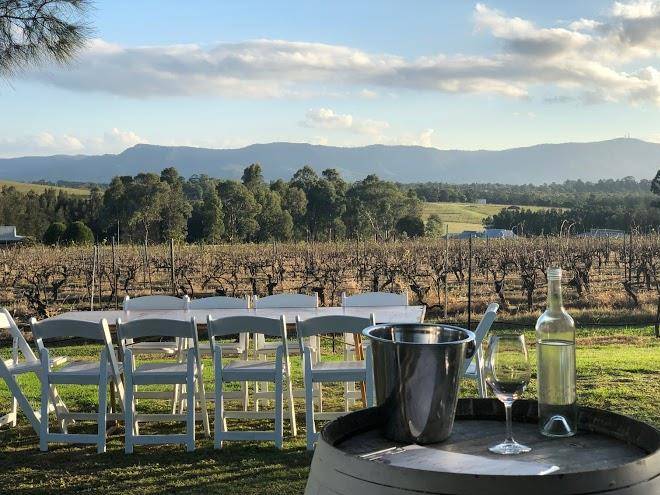 Blueberry hill vineyard