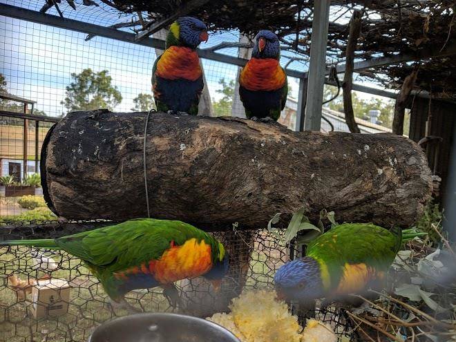 Gartelmann Studio Image