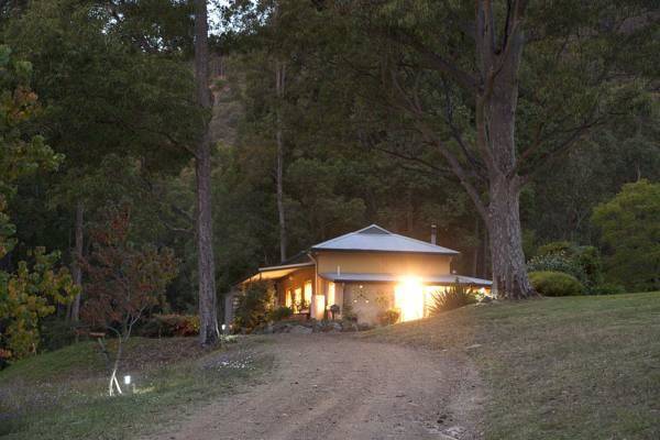 Lyrebird studio