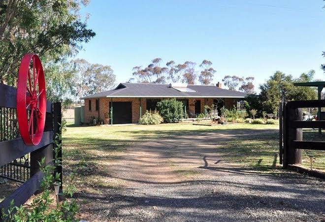Talga vines vineyard escape