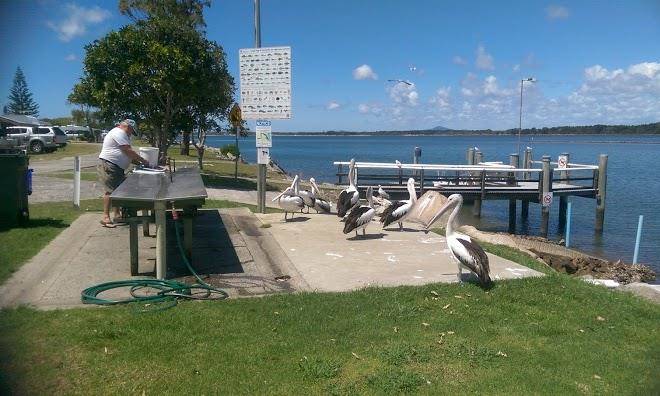 Iluka riverside tourist park