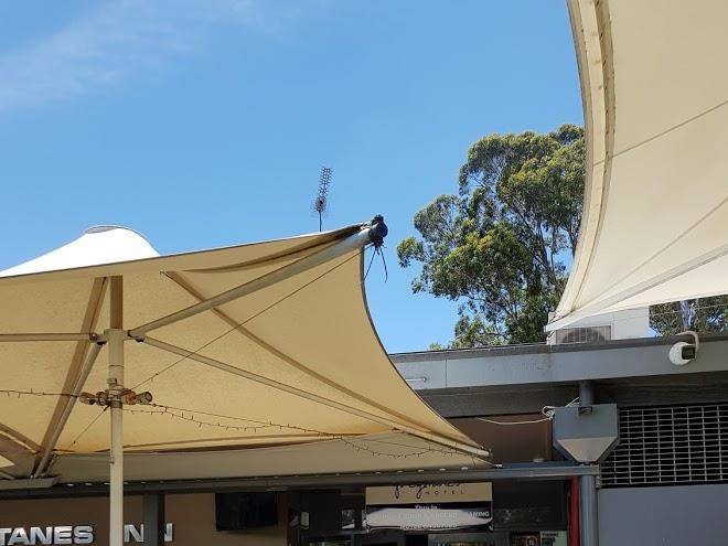 Greystanes hotel