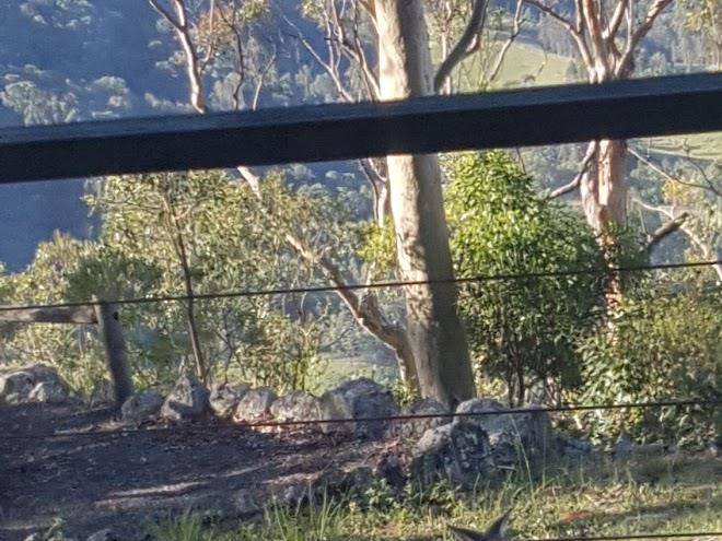 Billabong spa cabin