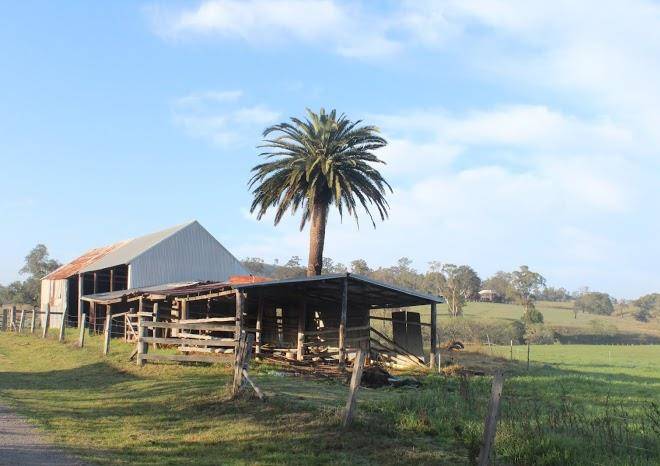 Camyr allyn homestead