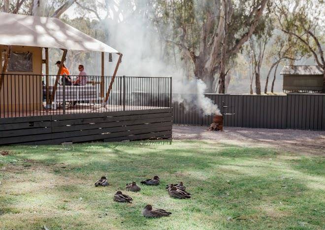 Mclean beach holiday park
