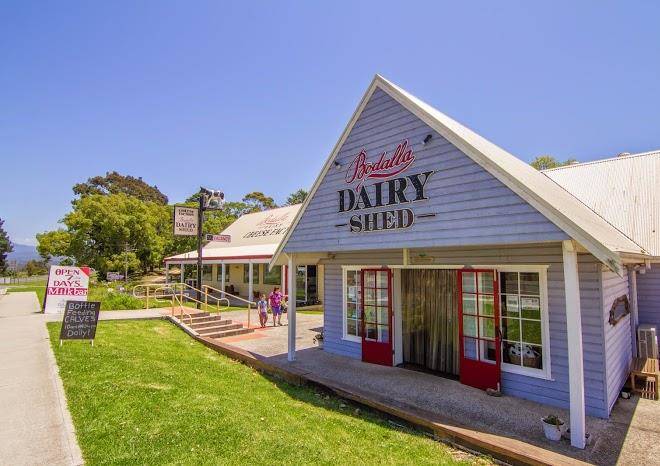 Bodalla dairy