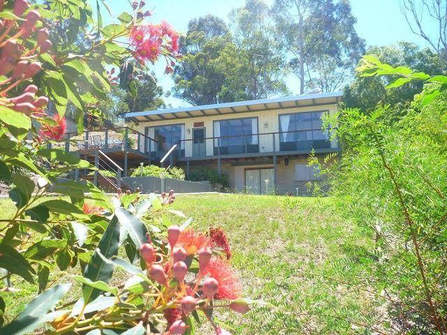 Corymbia batemans bay