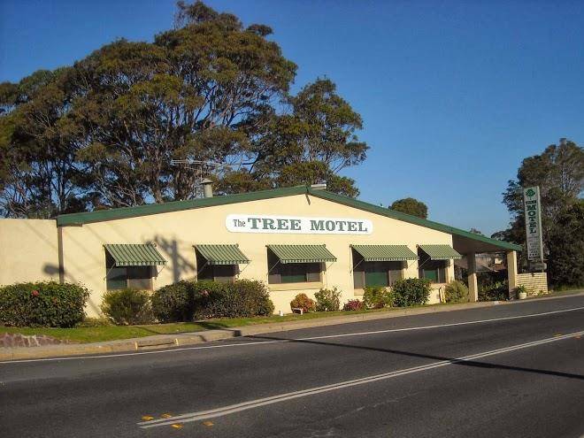 Tree motel