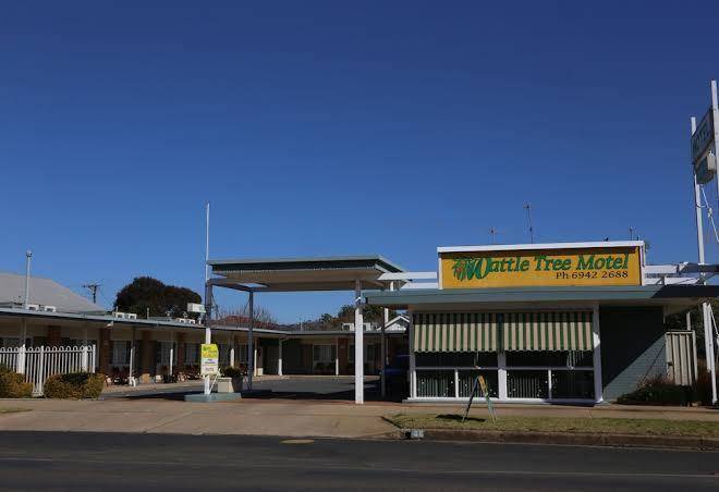 Wattle tree motel