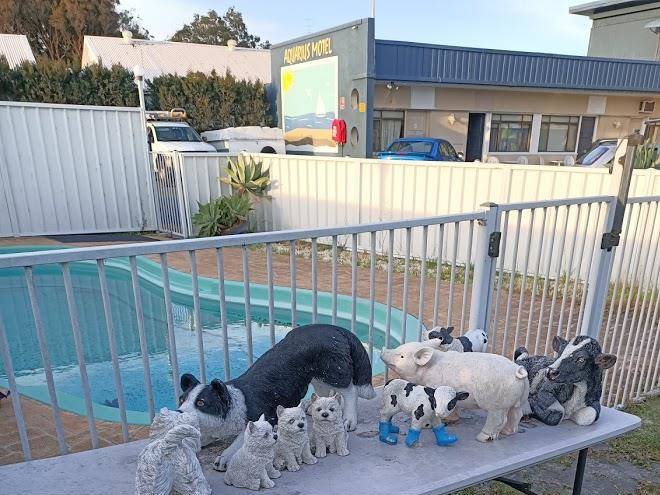 Aquarius Motel Belmont Image