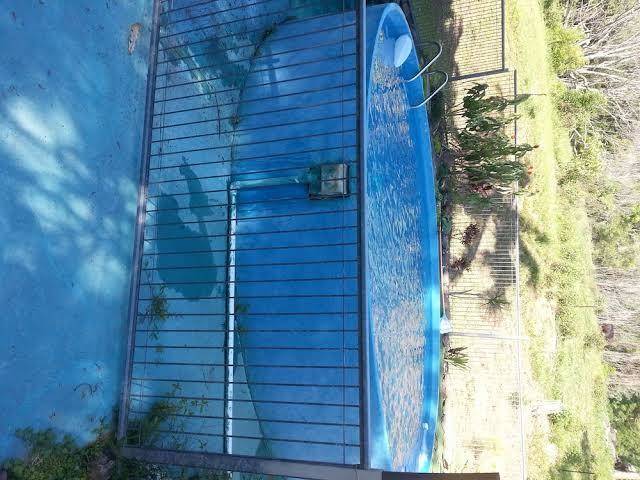 Croftons retreat nimbin