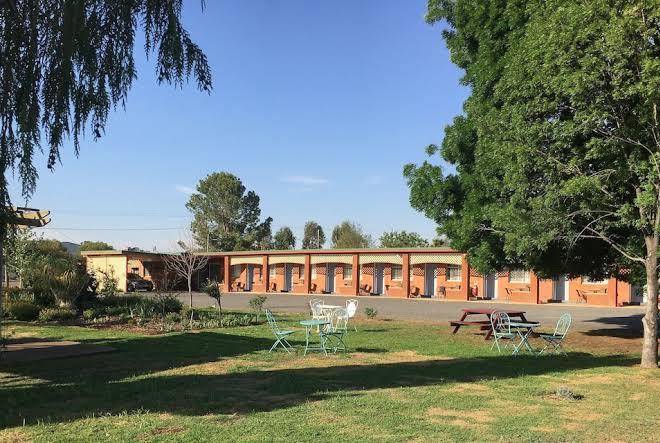 Quirindi sunflower motor inn