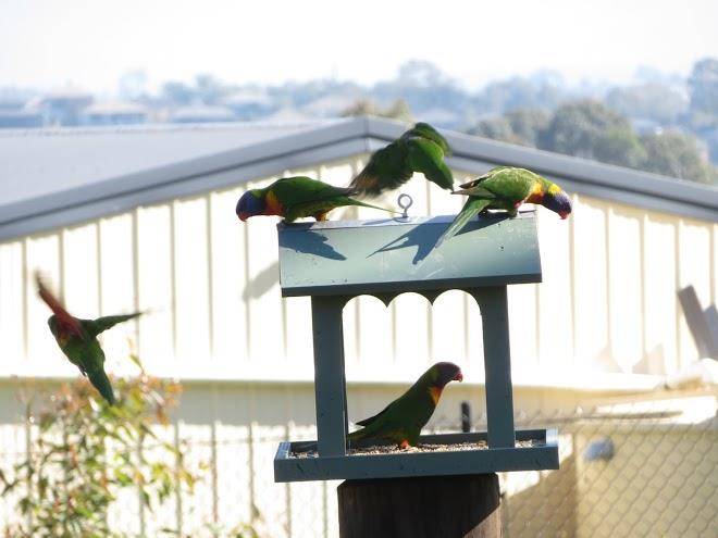 Mala retreat hunter valley