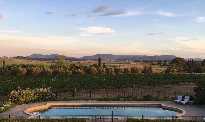 Tranquil vale vineyard