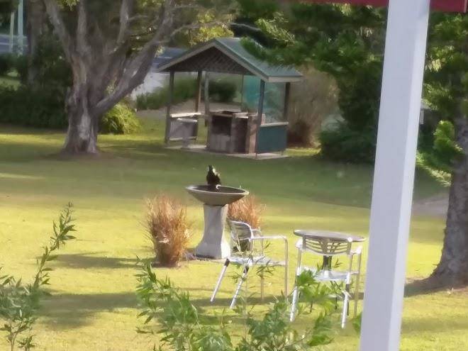 The jabiru motel