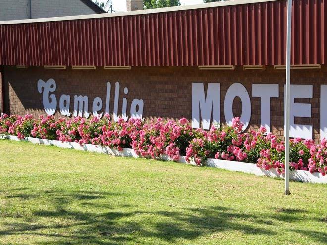 Camellia motel
